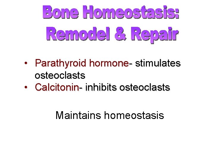  • Parathyroid hormone- stimulates osteoclasts • Calcitonin- inhibits osteoclasts Maintains homeostasis 