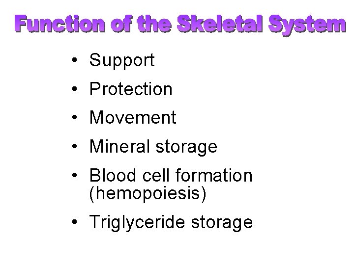  • Support • Protection • Movement • Mineral storage • Blood cell formation