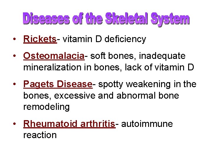  • Rickets- vitamin D deficiency • Osteomalacia- soft bones, inadequate mineralization in bones,