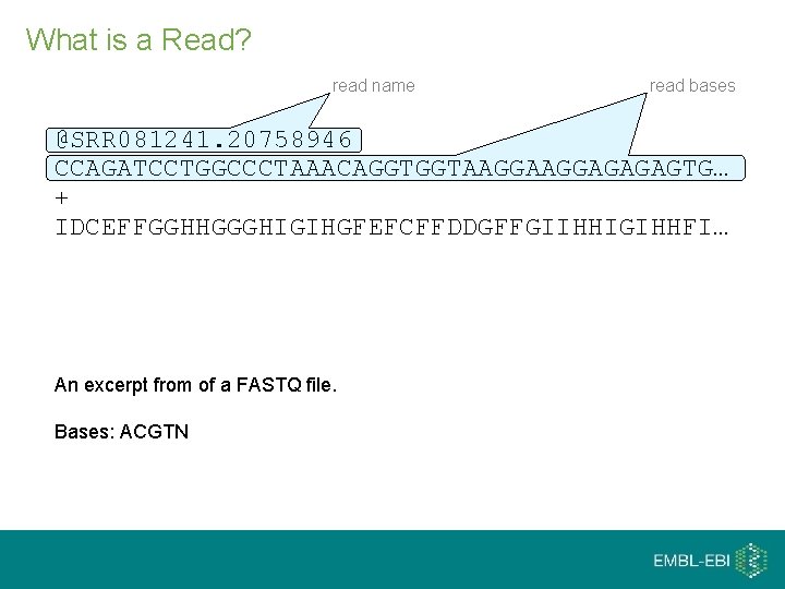 What is a Read? read name read bases @SRR 081241. 20758946 CCAGATCCTGGCCCTAAACAGGTGGTAAGGAGAGAGTG… + IDCEFFGGHHGGGHIGIHGFEFCFFDDGFFGIIHHIGIHHFI…