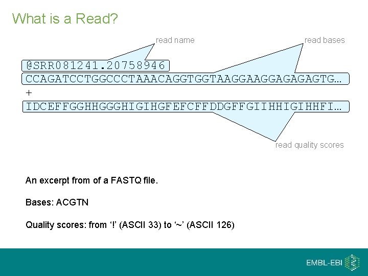 What is a Read? read name read bases @SRR 081241. 20758946 CCAGATCCTGGCCCTAAACAGGTGGTAAGGAGAGAGTG… + IDCEFFGGHHGGGHIGIHGFEFCFFDDGFFGIIHHIGIHHFI…