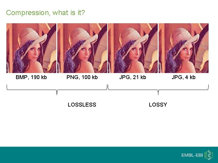 Compression, what is it? BMP, 190 kb PNG, 100 kb LOSSLESS JPG, 21 kb