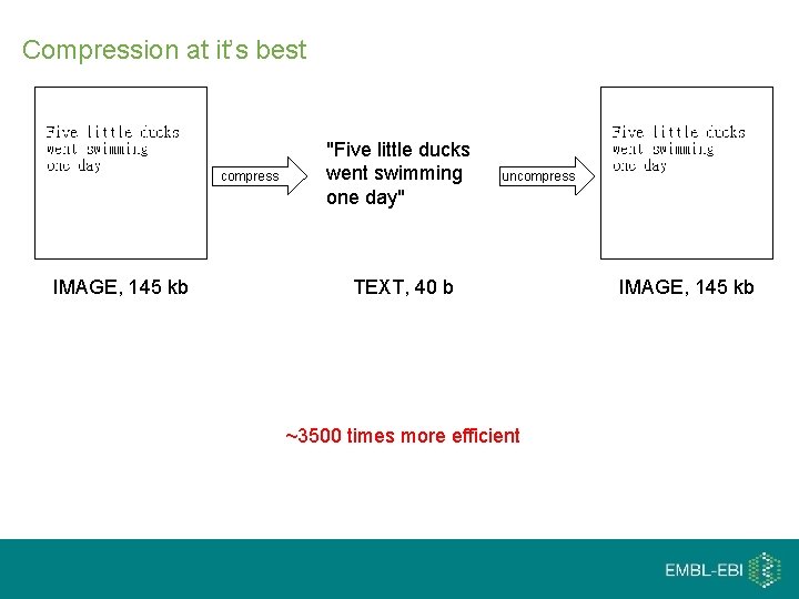 Compression at it’s best compress IMAGE, 145 kb "Five little ducks went swimming one