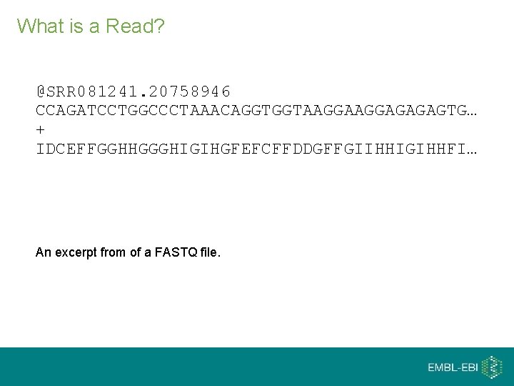 What is a Read? @SRR 081241. 20758946 CCAGATCCTGGCCCTAAACAGGTGGTAAGGAGAGAGTG… + IDCEFFGGHHGGGHIGIHGFEFCFFDDGFFGIIHHIGIHHFI… An excerpt from of