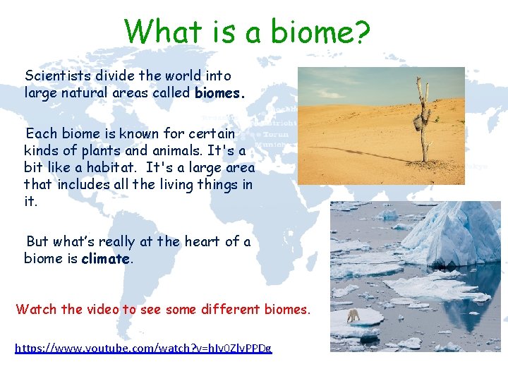 What is a biome? Scientists divide the world into large natural areas called biomes.
