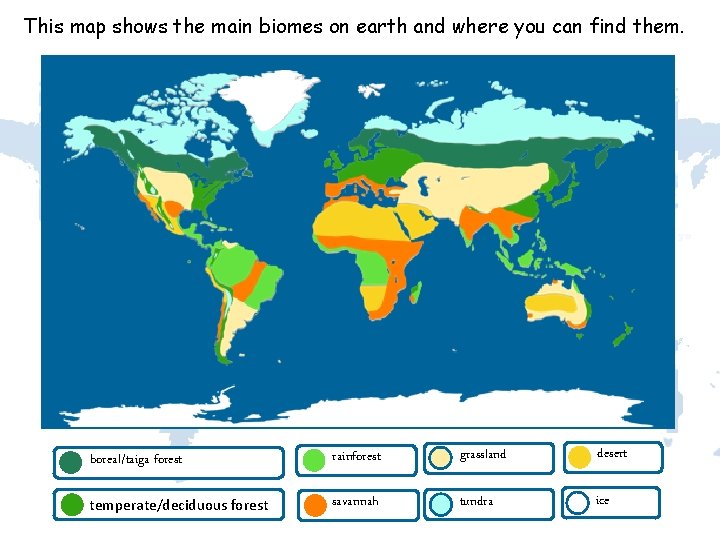This map shows the main biomes on earth and where you can find them.