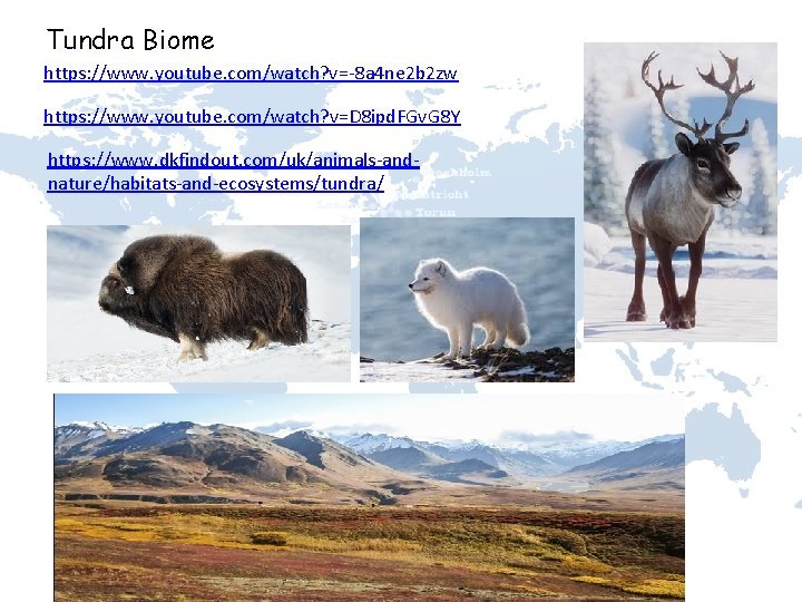Tundra Biome https: //www. youtube. com/watch? v=-8 a 4 ne 2 b 2 zw
