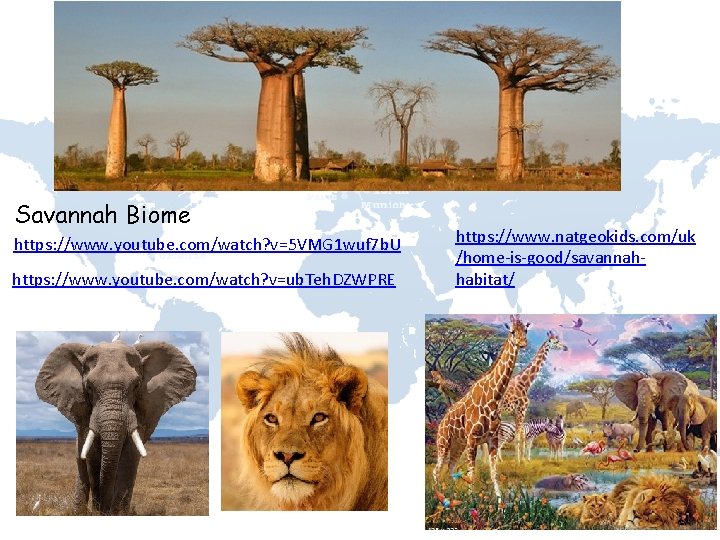 Savannah Biome https: //www. youtube. com/watch? v=5 VMG 1 wuf 7 b. U https: