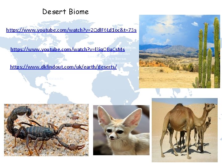 Desert Biome https: //www. youtube. com/watch? v=2 Qdl. F 6 Ld 1 oc&t=73 s