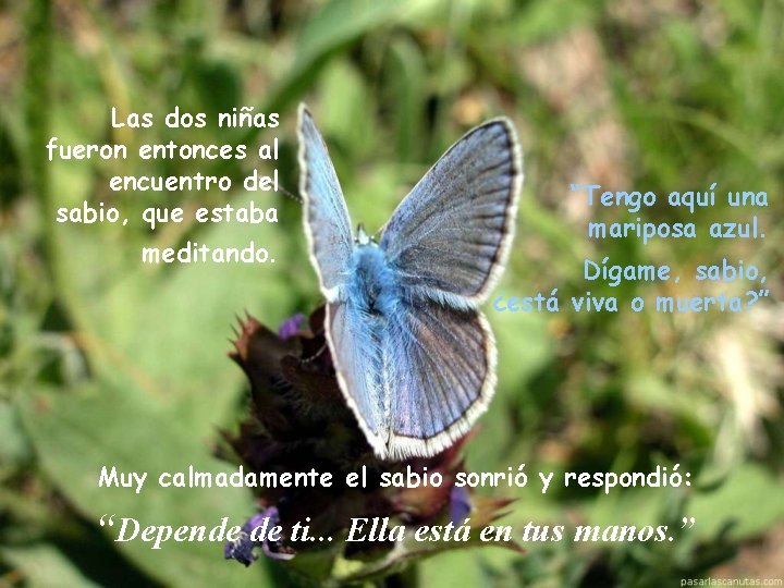 Las dos niñas fueron entonces al encuentro del sabio, que estaba meditando. “Tengo aquí Las dos niñas fueron entonces al encuentro del sabio, que estaba meditando. “Tengo aquí