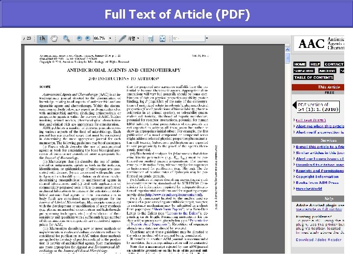 Full Text of Article (PDF) 