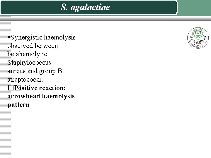S. agalactiae §Synergistic haemolysis observed between betahemolytic Staphylococcus aureus and group B streptococci. ��