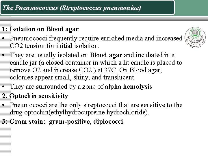 The Pneumococcus (Streptococcus pneumoniae) 1: Isolation on Blood agar • Pneumococci frequently require enriched