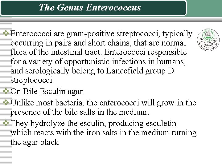 The Genus Enterococcus v Enterococci are gram-positive streptococci, typically occurring in pairs and short