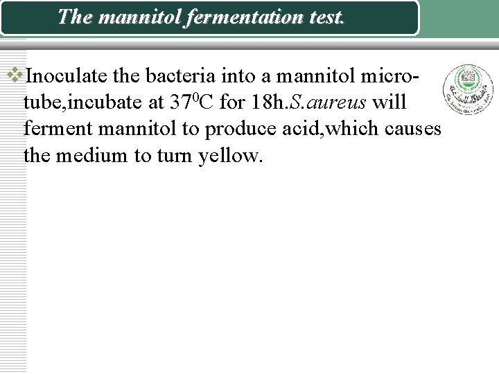 The mannitol fermentation test. v. Inoculate the bacteria into a mannitol microtube, incubate at