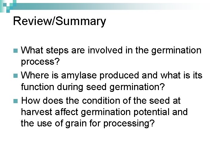 Review/Summary What steps are involved in the germination process? n Where is amylase produced