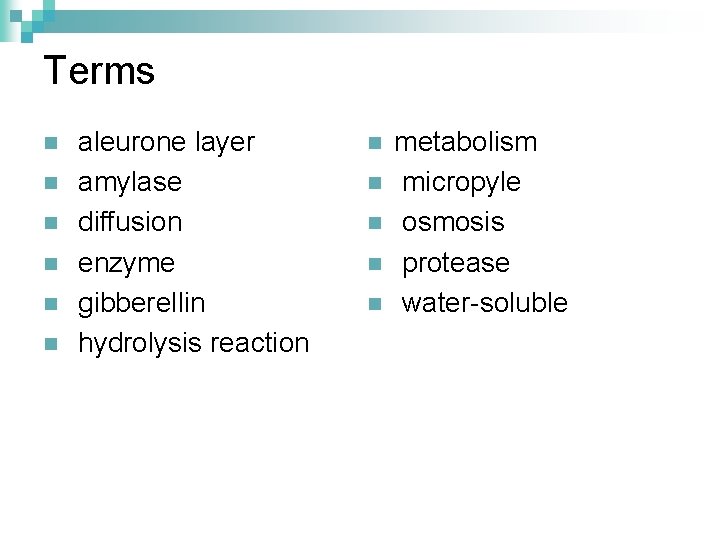 Terms n n n aleurone layer amylase diffusion enzyme gibberellin hydrolysis reaction n n