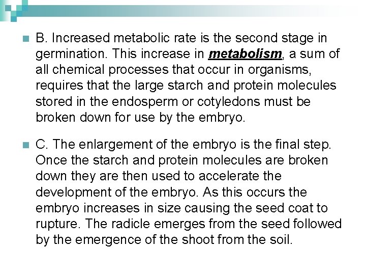 n B. Increased metabolic rate is the second stage in germination. This increase in