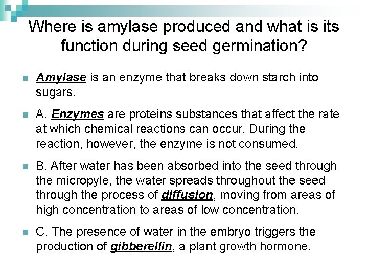 Where is amylase produced and what is its function during seed germination? n Amylase