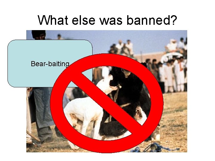 What else was banned? Bear-baiting 