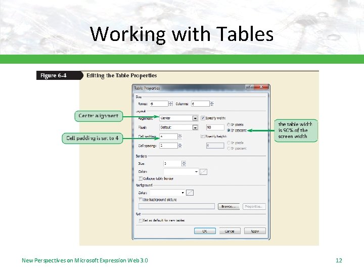 Working with Tables New Perspectives on Microsoft Expression Web 3. 0 12 