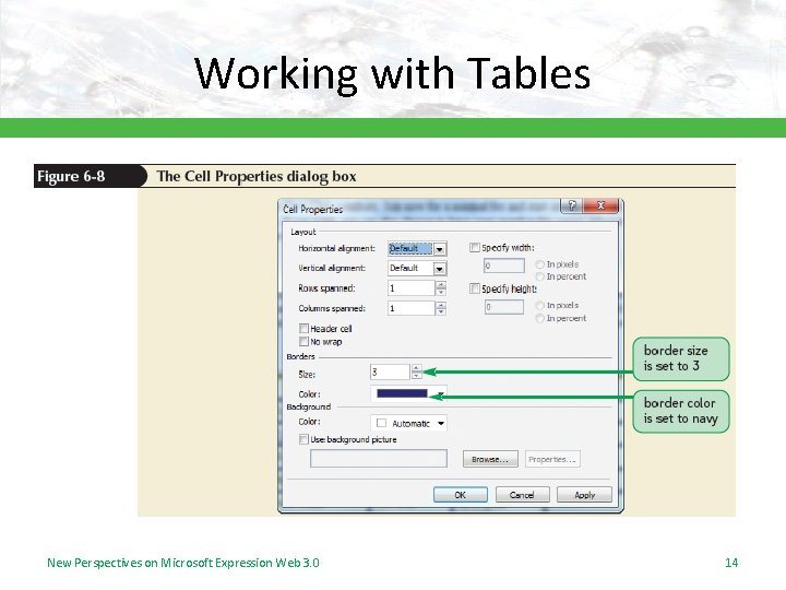 Working with Tables New Perspectives on Microsoft Expression Web 3. 0 14 Working with Tables New Perspectives on Microsoft Expression Web 3. 0 14