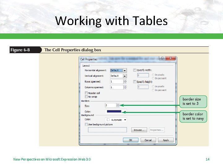 Working with Tables New Perspectives on Microsoft Expression Web 3. 0 14 