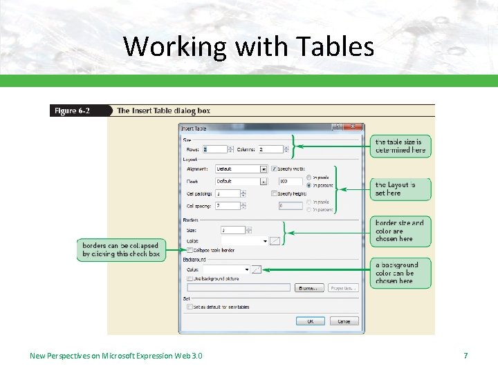 Working with Tables New Perspectives on Microsoft Expression Web 3. 0 7 