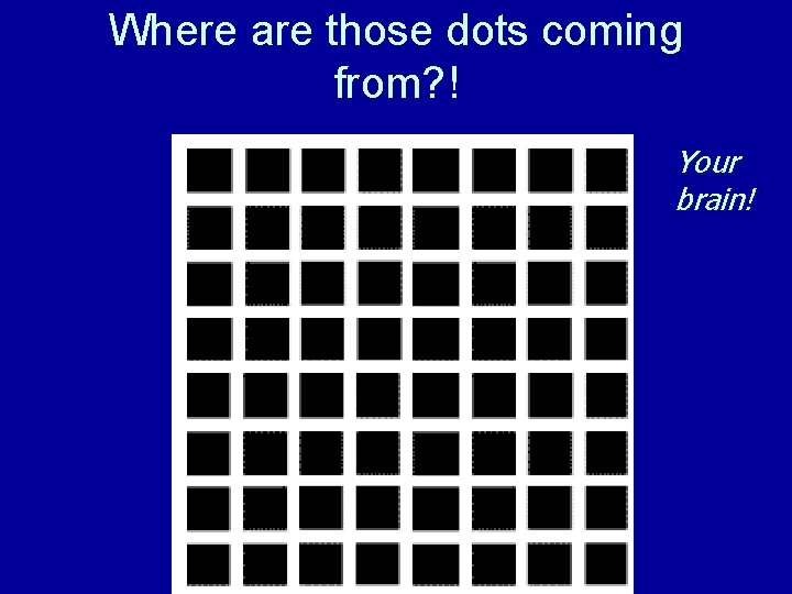Where are those dots coming from? ! Your brain! 