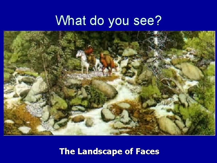 What do you see? The Landscape of Faces 