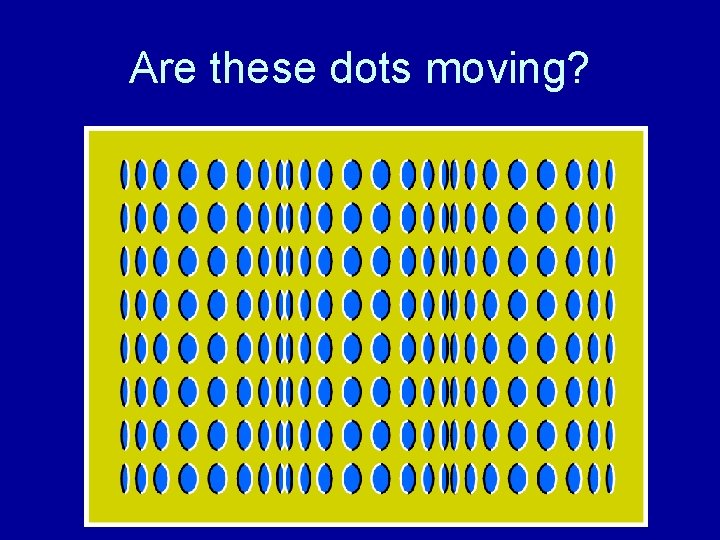 Are these dots moving? 