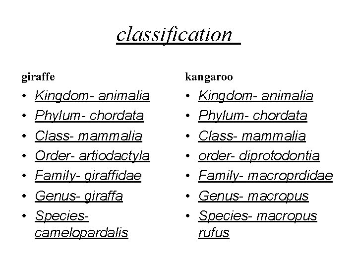 classification giraffe kangaroo • • • • Kingdom- animalia Phylum- chordata Class- mammalia Order-