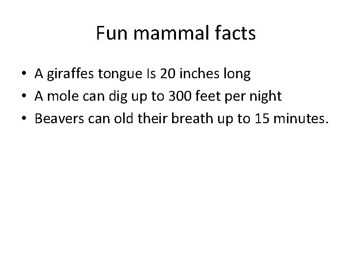 Fun mammal facts • A giraffes tongue Is 20 inches long • A mole