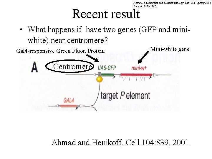 Advanced Molecular and Cellular Biology Bio 4751 Spring 2003 Gary A. Bulla, Ph. D