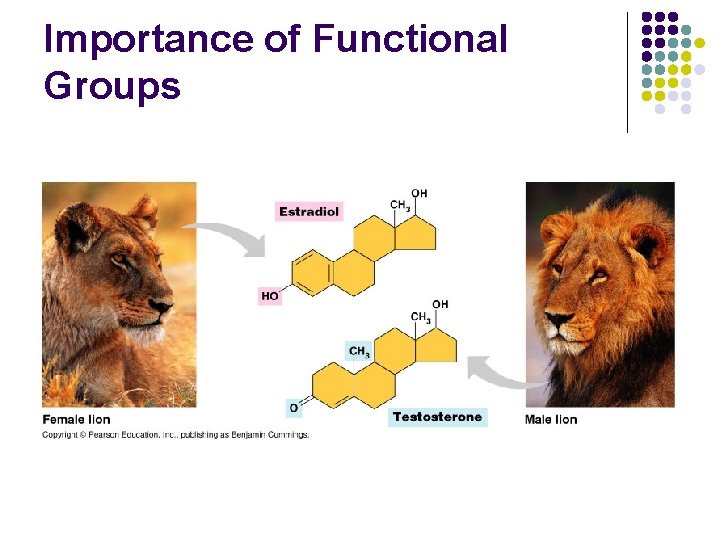 Importance of Functional Groups 