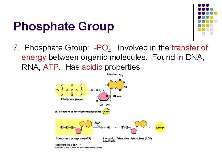 Phosphate Group 7. Phosphate Group: -PO 4. Involved in the transfer of energy between