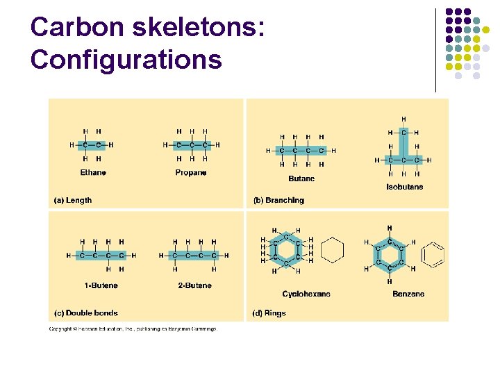 Carbon skeletons: Configurations 