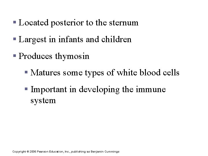 Thymus § Located posterior to the sternum § Largest in infants and children §