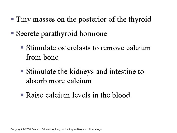 Parathyroid Glands § Tiny masses on the posterior of the thyroid § Secrete parathyroid