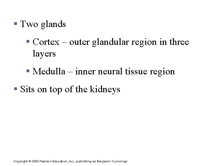 Adrenal Glands § Two glands § Cortex – outer glandular region in three layers