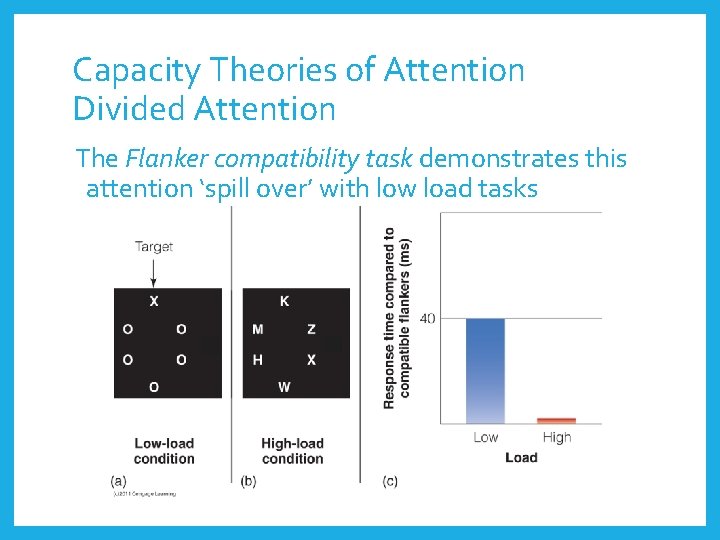 Capacity Theories of Attention Divided Attention The Flanker compatibility task demonstrates this attention ‘spill