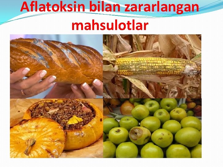 Aflatoksin bilan zararlangan mahsulotlar 