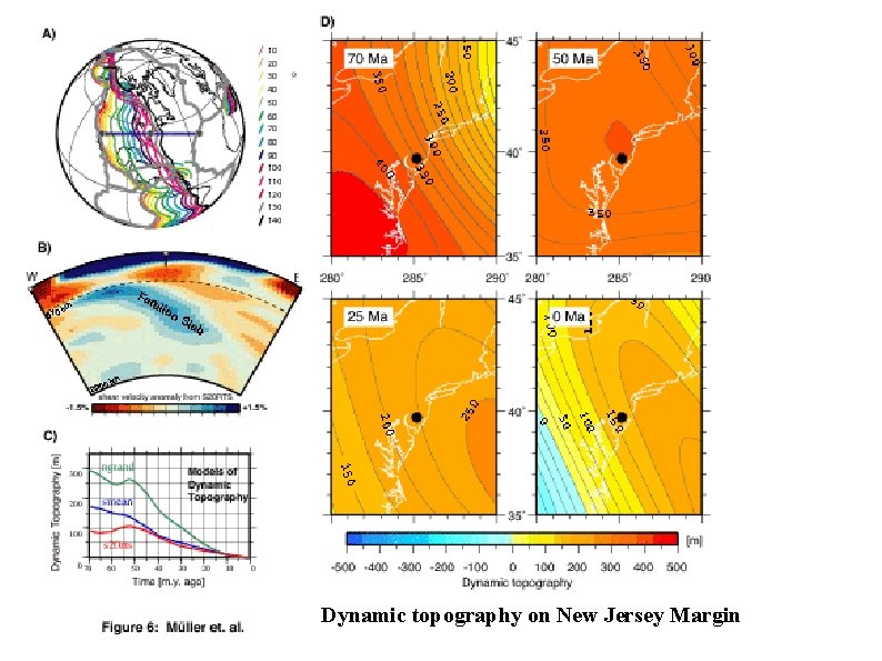 Dynamic topography on New Jersey Margin 