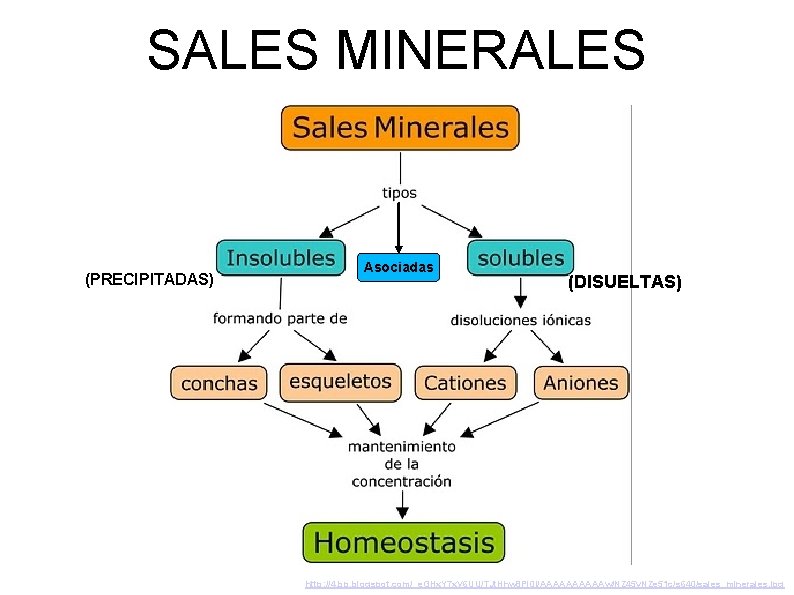 SALES MINERALES (PRECIPITADAS) Asociadas (DISUELTAS) http: //4. bp. blogspot. com/_e. GHx. Y 7 x.