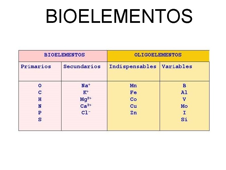 BIOELEMENTOS 