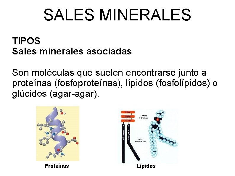 SALES MINERALES TIPOS Sales minerales asociadas Son moléculas que suelen encontrarse junto a proteínas