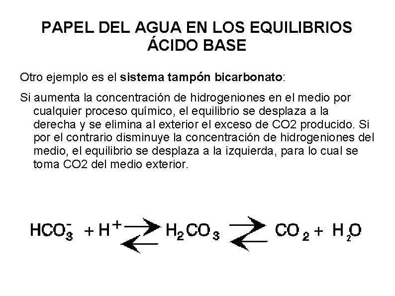 PAPEL DEL AGUA EN LOS EQUILIBRIOS ÁCIDO BASE Otro ejemplo es el sistema tampón