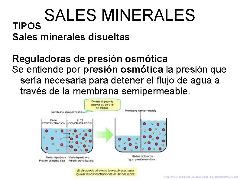 SALES MINERALES TIPOS Sales minerales disueltas Reguladoras de presión osmótica Se entiende por presión