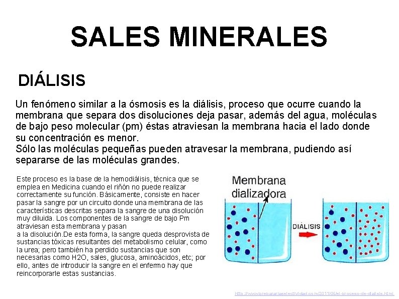 SALES MINERALES DIÁLISIS Un fenómeno similar a la ósmosis es la diálisis, proceso que