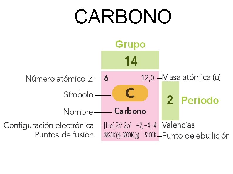 CARBONO 